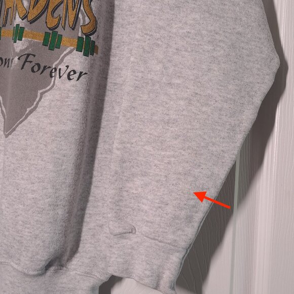 VINTAGE Busch Gardens: Extinction Is Forever USED Sweatshirt (STAINING, S, Gray) - Picture 9 of 9